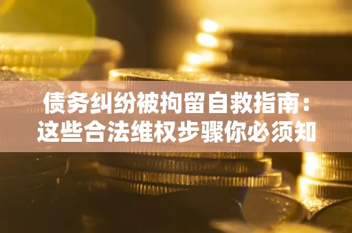 济南债务纠纷被拘留自救指南：这些合法维权步骤你必须知道！