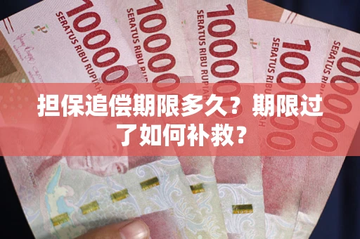 济南担保追偿期限多久？期限过了如何补救？