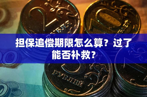 济南担保追偿期限怎么算？过了能否补救？